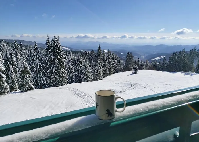 Apartma Bellevue Rogla
