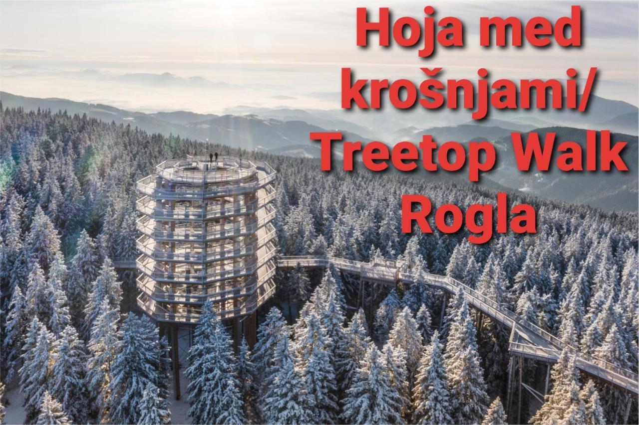 Apartma Bellevue Rogla Vitanje